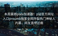 本周震撼pixiv加速器！p站官方网址入口proumb独家全网炸裂热门神秘人内幕，网友直呼过瘾