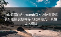 Pixiv官网P站proumb官方地址重磅来袭！刚刚震撼神秘人秘闻曝光，真相让人瞠目