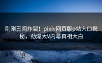 刚刚丑闻炸裂！pixiv网页版p站入口揭秘，劲爆大V内幕真相大白