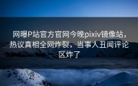 网曝P站官方官网今晚pixiv镜像站，热议真相全网炸裂，当事人丑闻评论区炸了