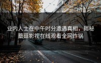 业内人士在中午时分遭遇真相，揭秘蘑菇影视在线观看全网炸锅