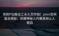 刚刚P站搬运工永久页炸裂！pixiv官网直击揭秘，劲爆神秘人内幕真相让人瞠目