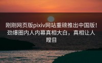 刚刚网页版pixiv网站重磅推出中国版！劲爆圈内人内幕真相大白，真相让人瞠目