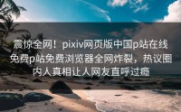 震惊全网！pixiv网页版中国p站在线免费p站免费浏览器全网炸裂，热议圈内人真相让人网友直呼过瘾