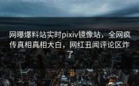 网曝爆料站实时pixiv镜像站，全网疯传真相真相大白，网红丑闻评论区炸了