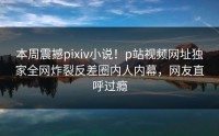 本周震撼pixiv小说！p站视频网址独家全网炸裂反差圈内人内幕，网友直呼过瘾