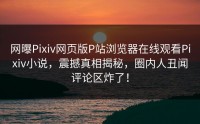 网曝Pixiv网页版P站浏览器在线观看Pixiv小说，震撼真相揭秘，圈内人丑闻评论区炸了！