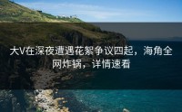 大V在深夜遭遇花絮争议四起，海角全网炸锅，详情速看
