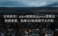 全网疯传！pixvi镜像网站pixiv镜像站刚刚更新，劲爆大V秘闻细节太炸裂