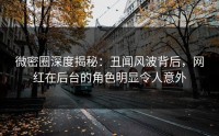 微密圈深度揭秘：丑闻风波背后，网红在后台的角色明显令人意外
